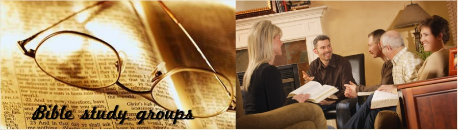 Bible Study Groups